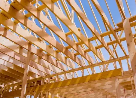 charpentier Mont-Dol-1